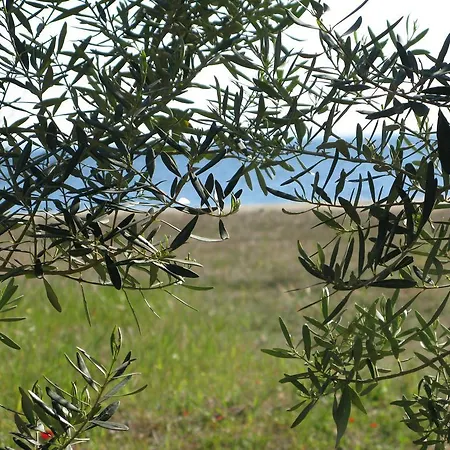בית נופש Haris גראקיני